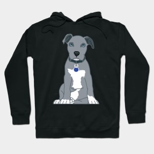 Pitbull Grey Staffordshire Terrier Hoodie